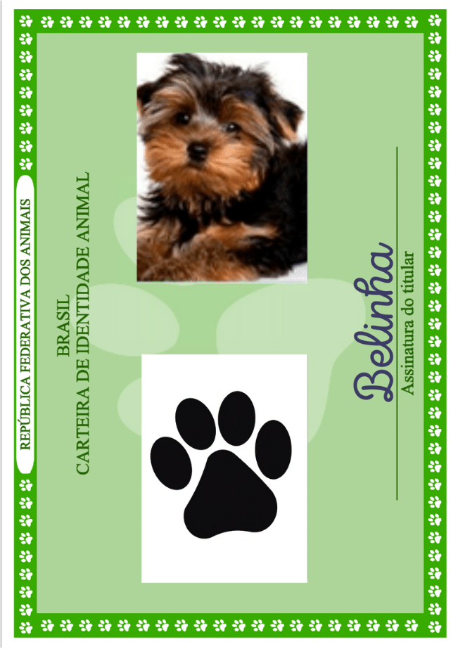 Design sem nome (11)