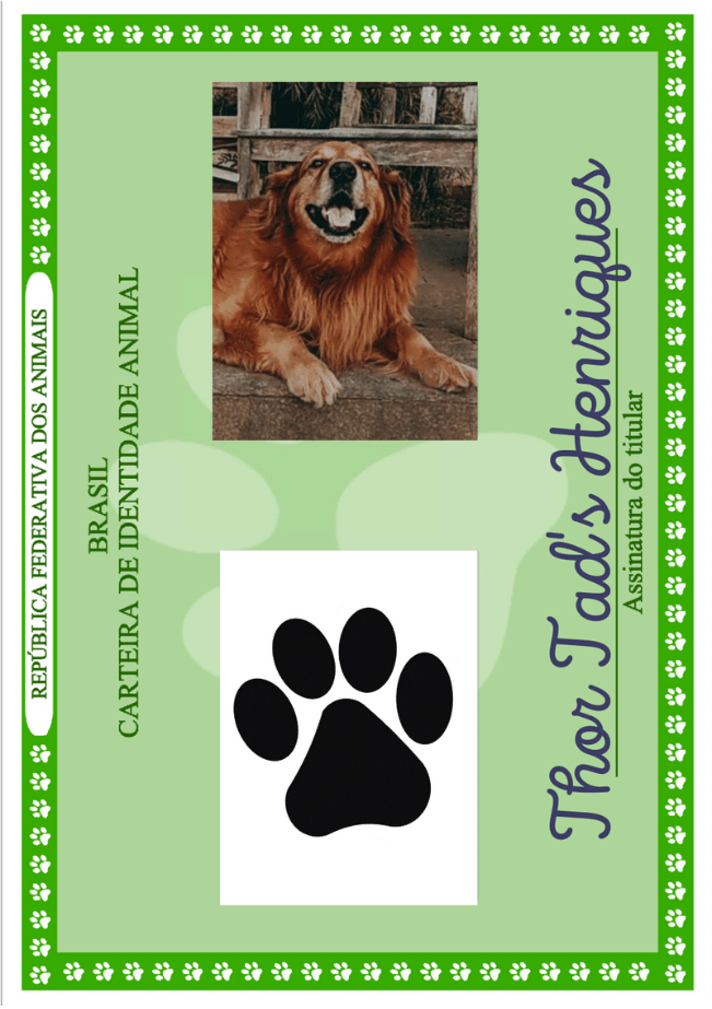 Design sem nome (12)