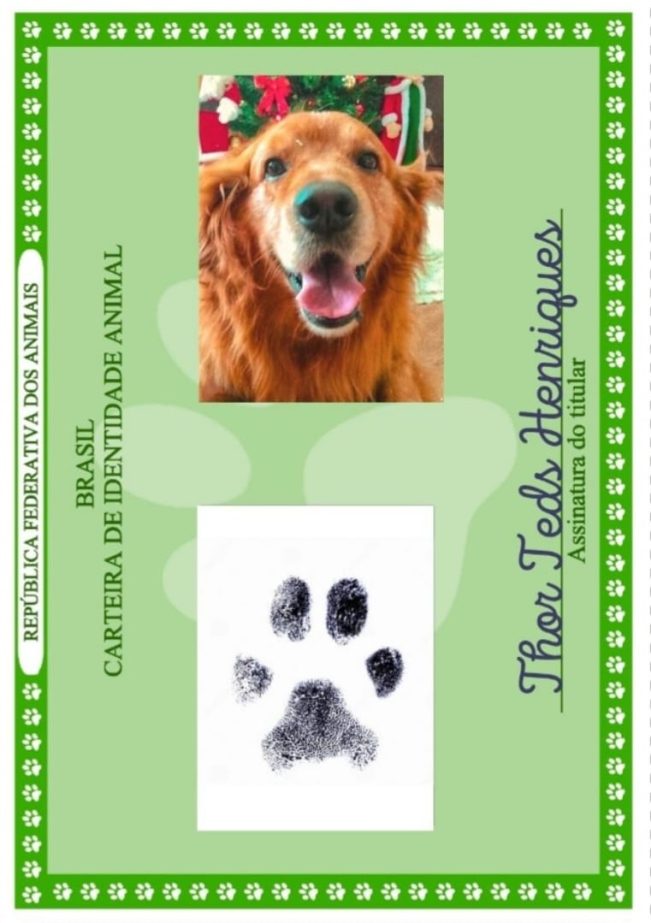 WhatsApp Image 2023-01-24 at 16.30.52 (1)