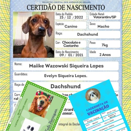 WhatsApp Image 2023-02-09 at 17.04.04