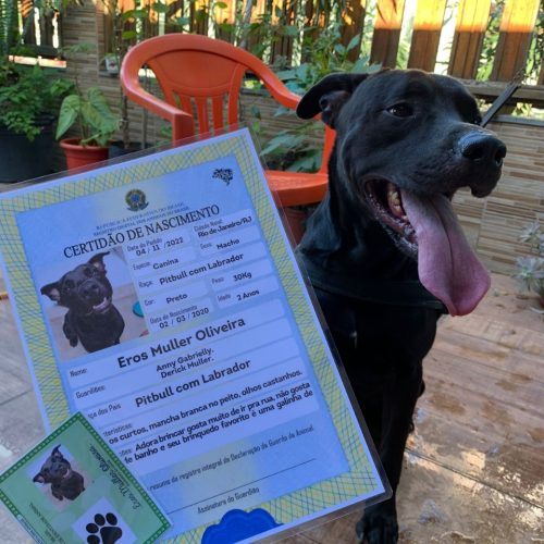 WhatsApp Image 2023-05-21 at 13.10.26